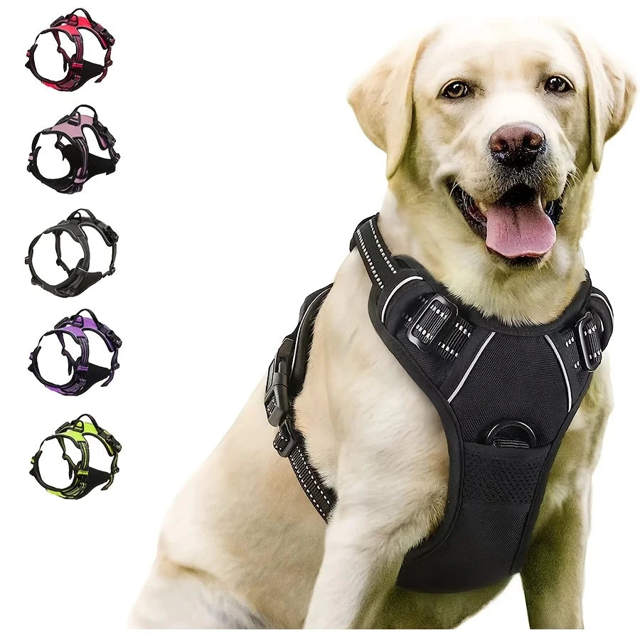 Steady Walk harness shown in use