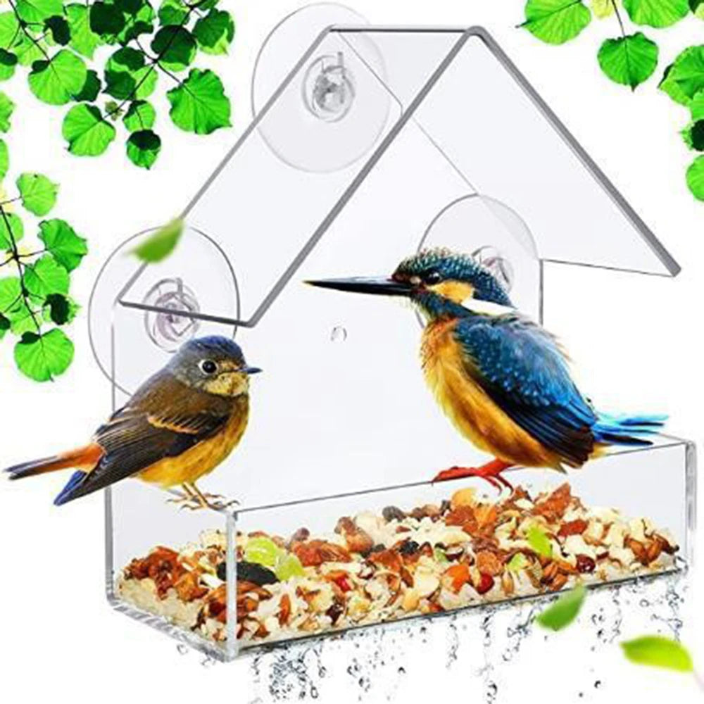Limber Front Row — Clear Window Bird Feeder