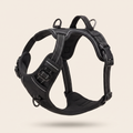 Limber Steady Walk no-pull dog harness, front-clip design, padded chest