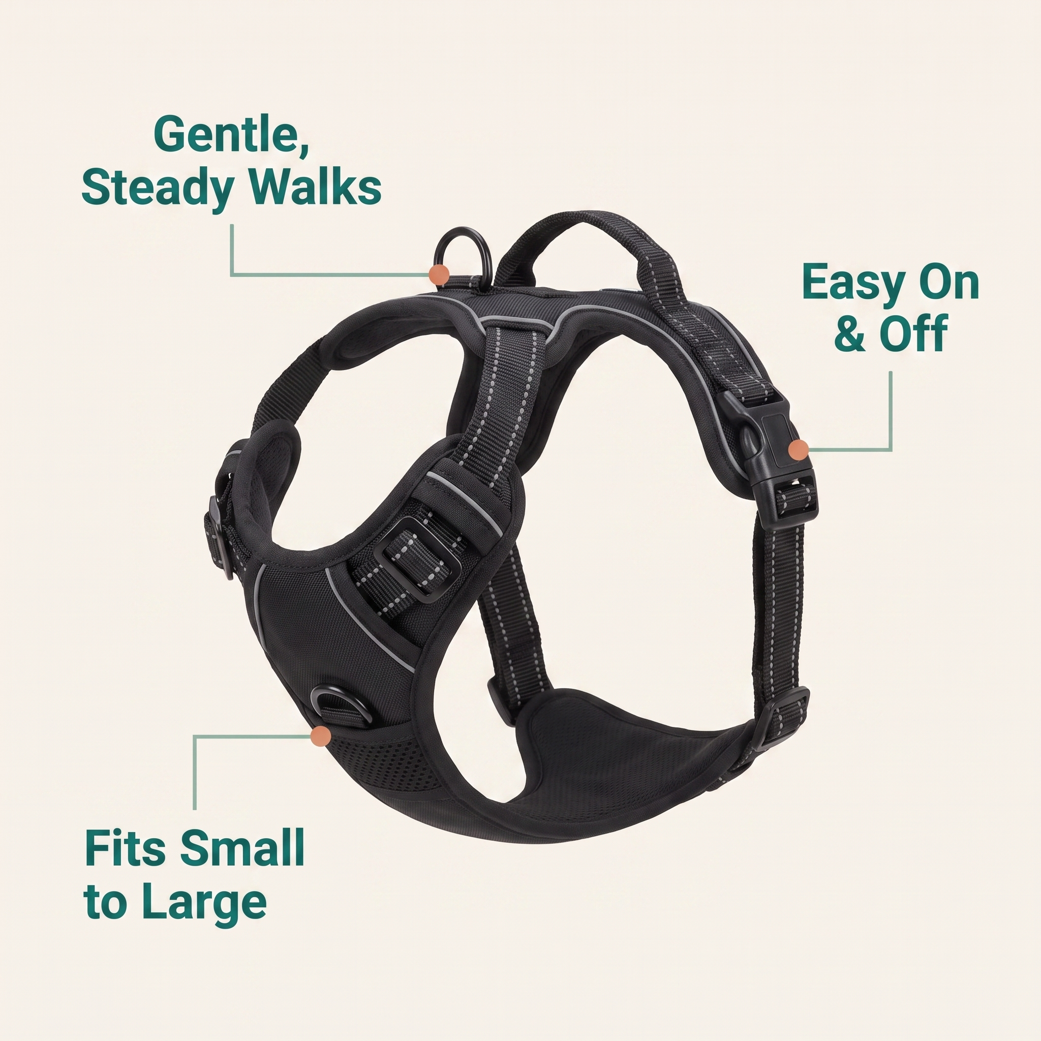 Benefits: gentle steady walks, easy on and off, fits small to large